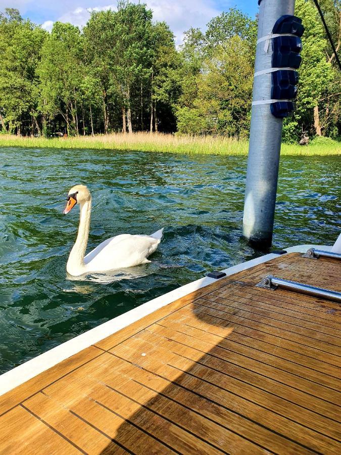 Luxusurlaub Auf Der Amavida Yacht / Scharmuetzelsee Bad Saarow Extérieur photo